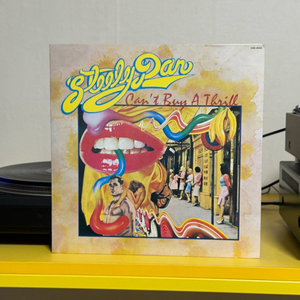 [AOR, Rock] Steely Dan LP 판매해요