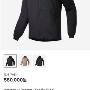 아크테릭스 프로톤 인슐레이티드 후디 맨즈 xs