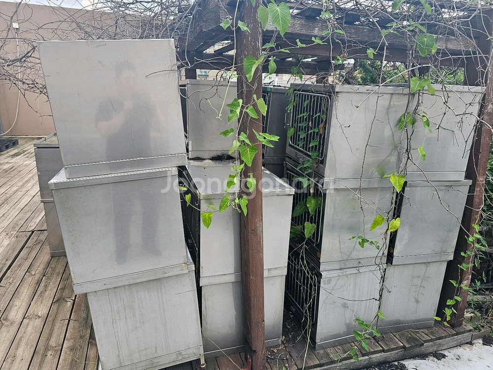 [중고] 애완동물 스텐 케이지--0