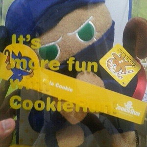 쿠키런 닌자맛 쿠키 인형 구합니다!