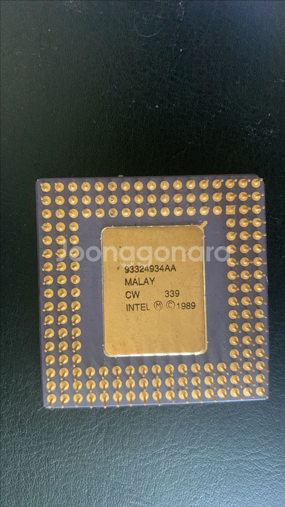 486SX-33 CPU--1