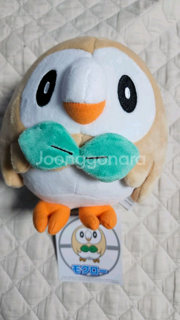 포켓몬 인형 나몰빼미 새제품--0