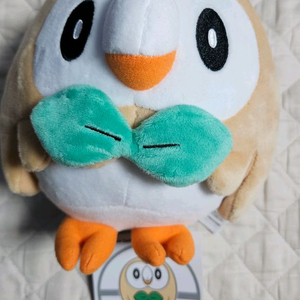 포켓몬 인형 나몰빼미 새제품