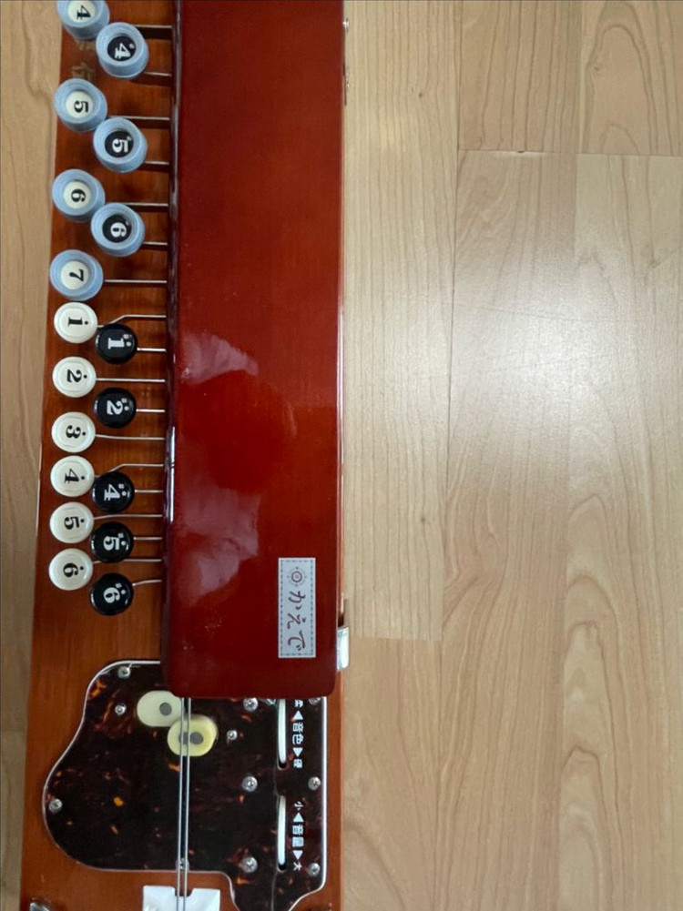 (빈티지) 일본악기 대정금--3