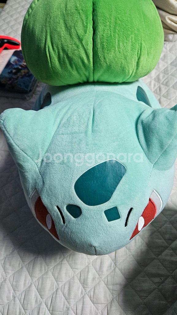 이상해씨 인형 포켓몬 센터 정품--0