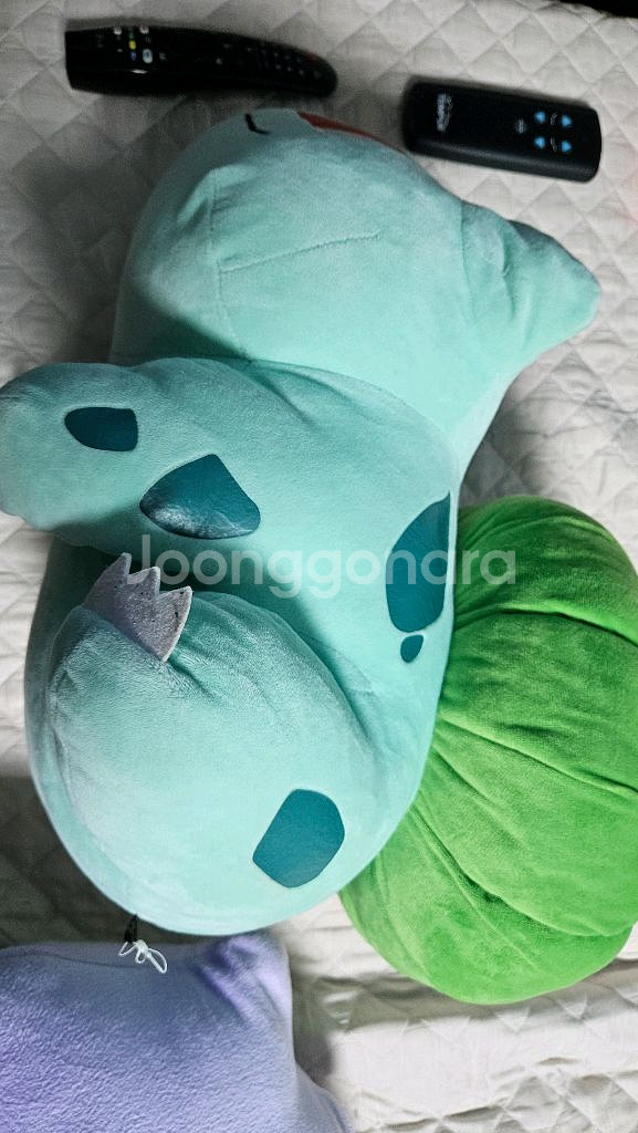 이상해씨 인형 포켓몬 센터 정품--2