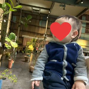 폴로 18m 간절기 사진은 14개월 때