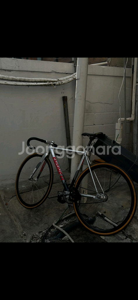 엔진11 디스오더리 볼텍스 크릿디 픽시--0