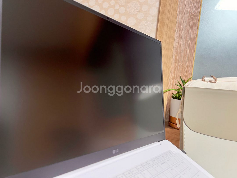 LG 2025 그램 프로 17Z90TR-SD7WK 32--3