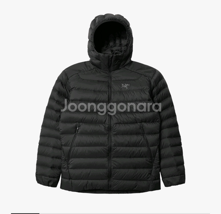 아크테릭스 세륨 후디 블랙--0