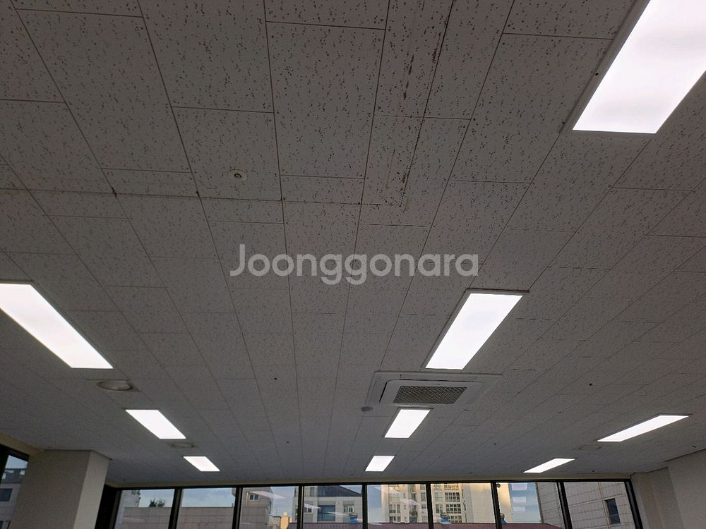 필립스 LED 평판등 50W--3