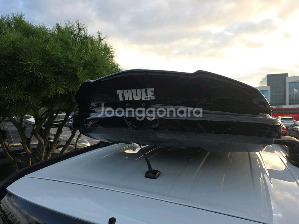 올란도 툴레 가로바, 루프박스--3