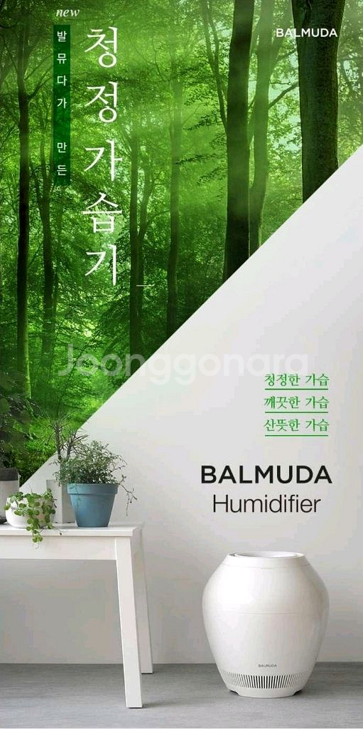 발뮤다 더 레인 기화식 가습기--2
