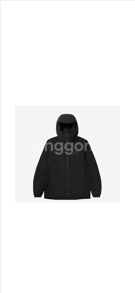 아크테릭스 아톰 후디 남성 블랙--0