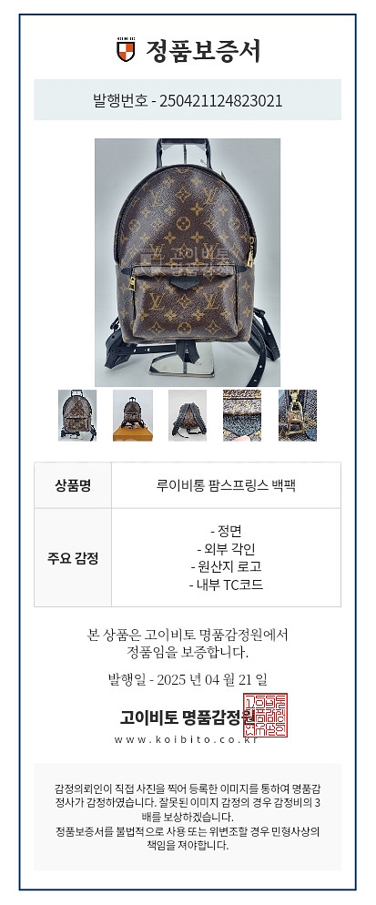 루이비통 백팩--1