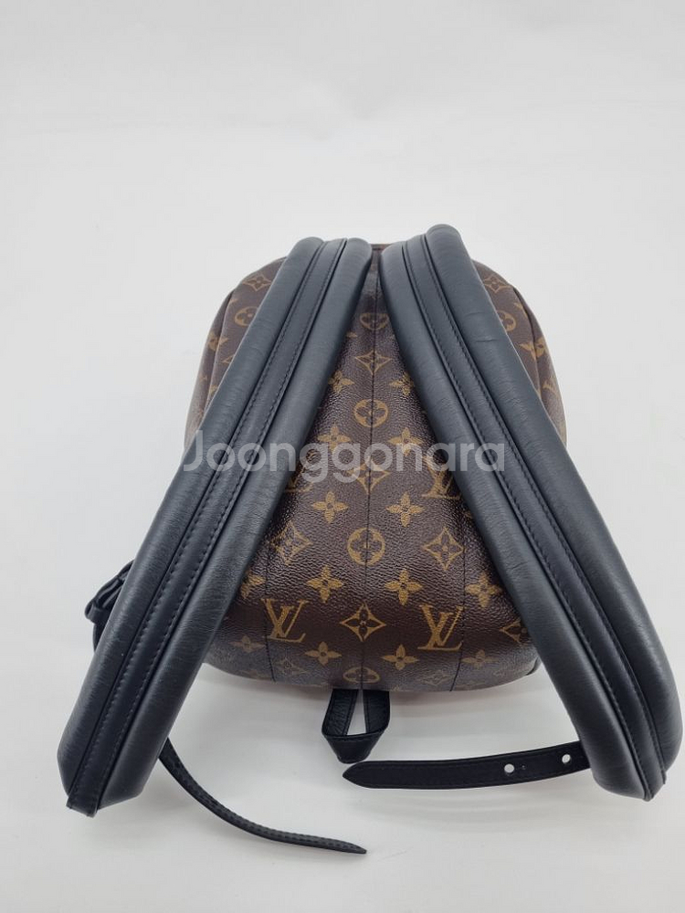루이비통 백팩--5