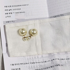 디올 트라이벌 귀걸이