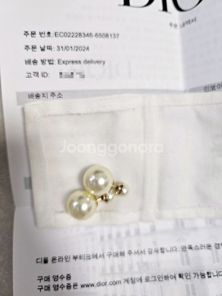 디올 트라이벌 귀걸이--1