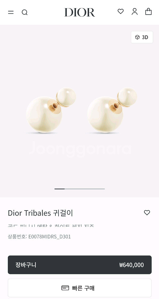디올 트라이벌 귀걸이--5