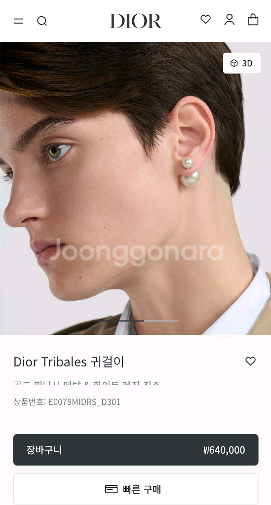 디올 트라이벌 귀걸이--7
