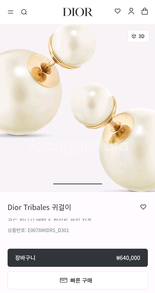 디올 트라이벌 귀걸이--6
