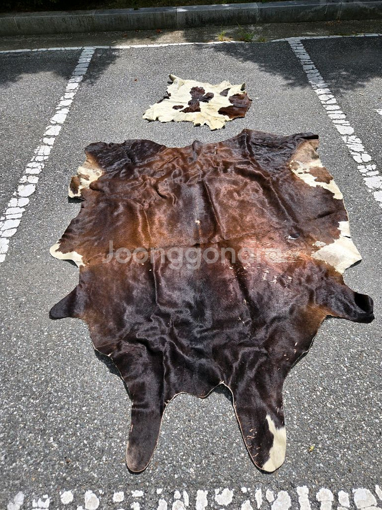 오리지날 송치 러그 카페트--0