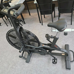 어썰트 에어바이크