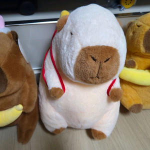 카피바라 인형. 착불