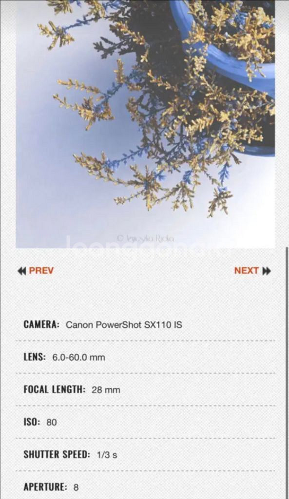 촬영사진 있음 캐논 파워샷 SX110 IS 카메라--7