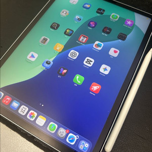 아이패드 프로 11인치 2세대 wifi 모델 256G