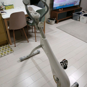 헬스 자전거