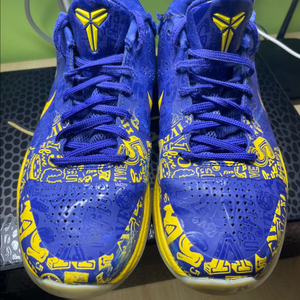 [255-260] 코비5 프로트로 오링