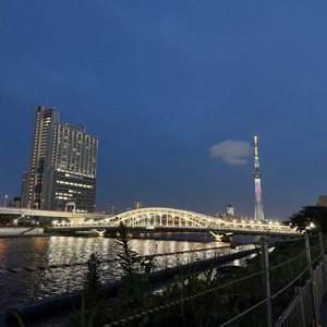 네이버시리즈 쿠키 49개 or 넷플릭스