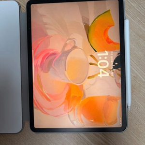 아이패드 프로 11인치 3세대(128G)