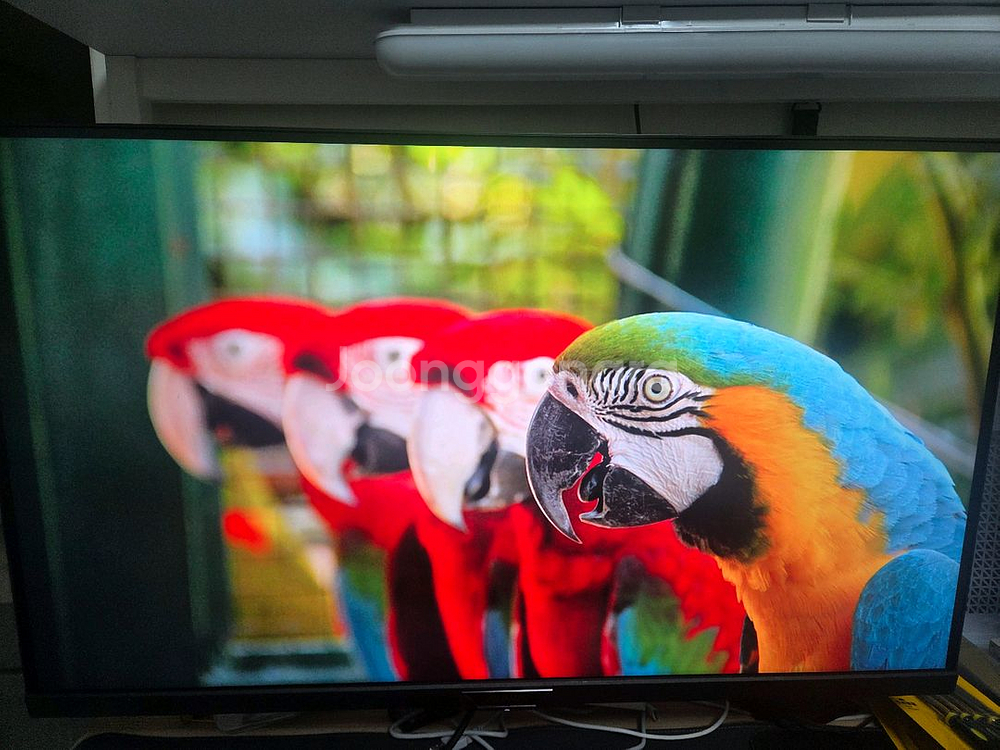 기가바이트 FI32U 4k 144hz 모니터 팝니다--1