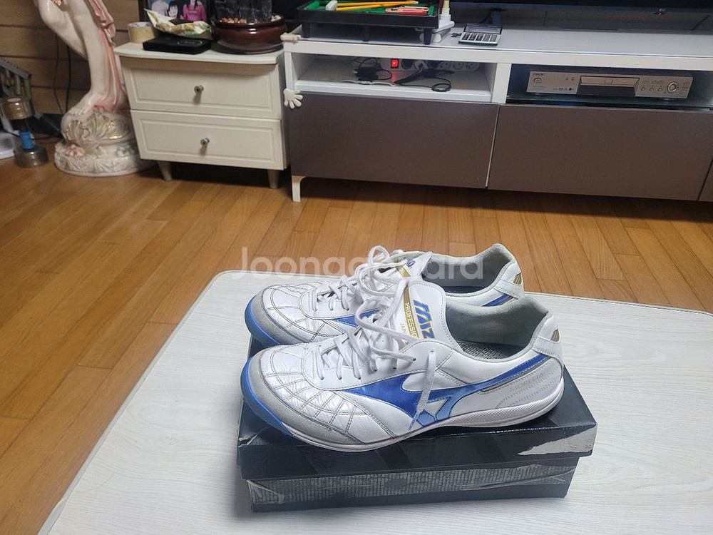 미즈노모렐리아살라280풋살화--0