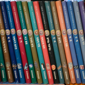 키즈돔 대발견! 입체자연과학탐험 플러스 19권