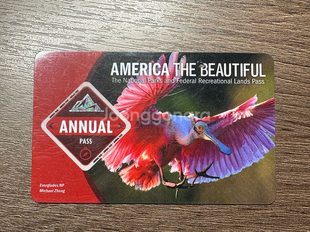 미국 국립공원 애뉴얼패스 (2025년 5월까지)--0