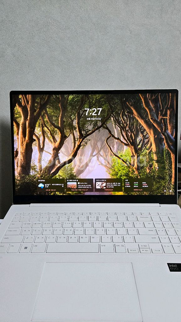LG그램 Pro 40.6 Ultra7 1TB 32GB--0