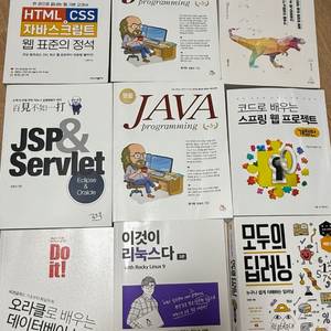 코딩/데이터/프로그래밍 관련 책