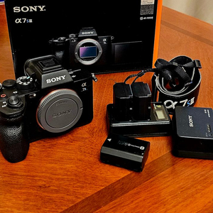 소니 A7S III(A7S3) DSLR