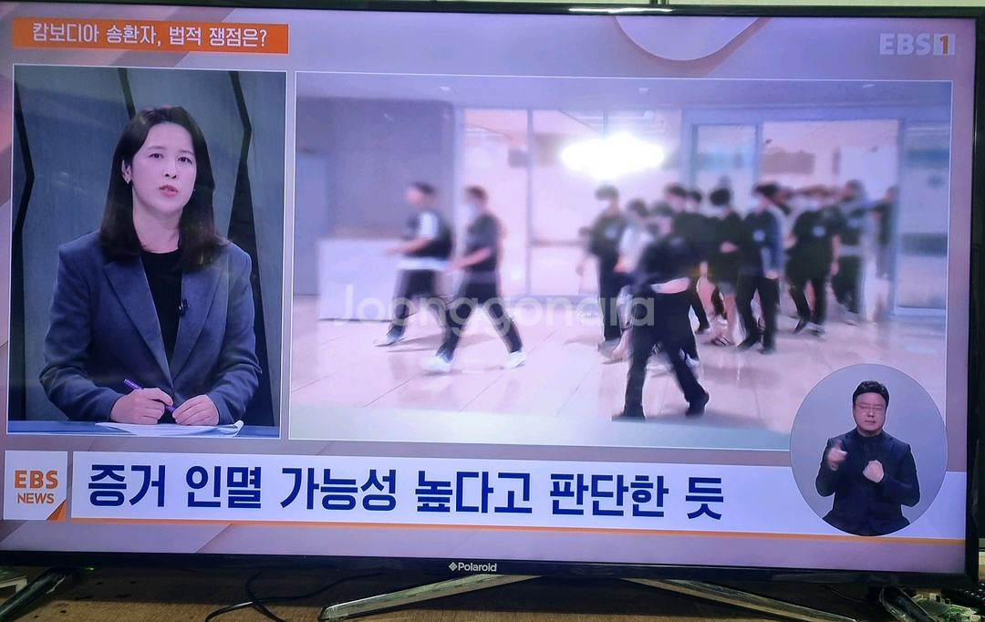 피디케이 55인치 (POL55U)UHD LED TV--0