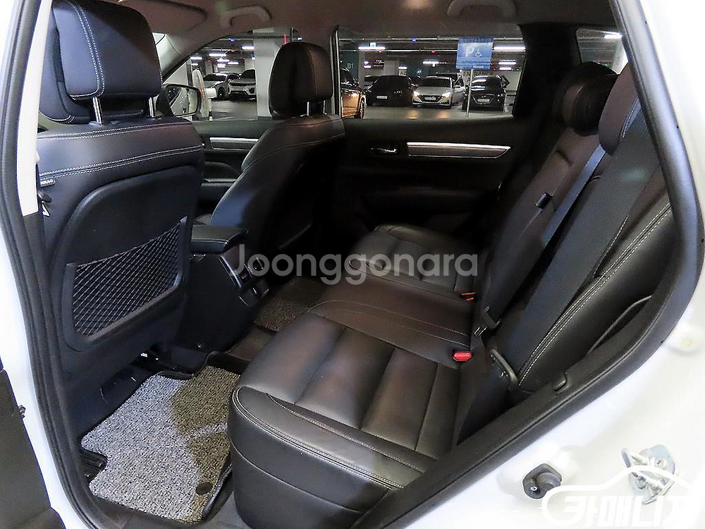 [르노코리아(삼성)]더뉴QM6 2.0 LPe RE 2W--6
