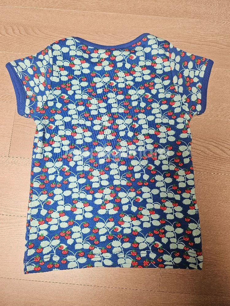 던스 블루산딸기 반팔86--1