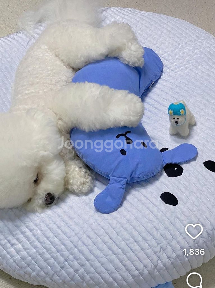 타피 필로우 2개--2