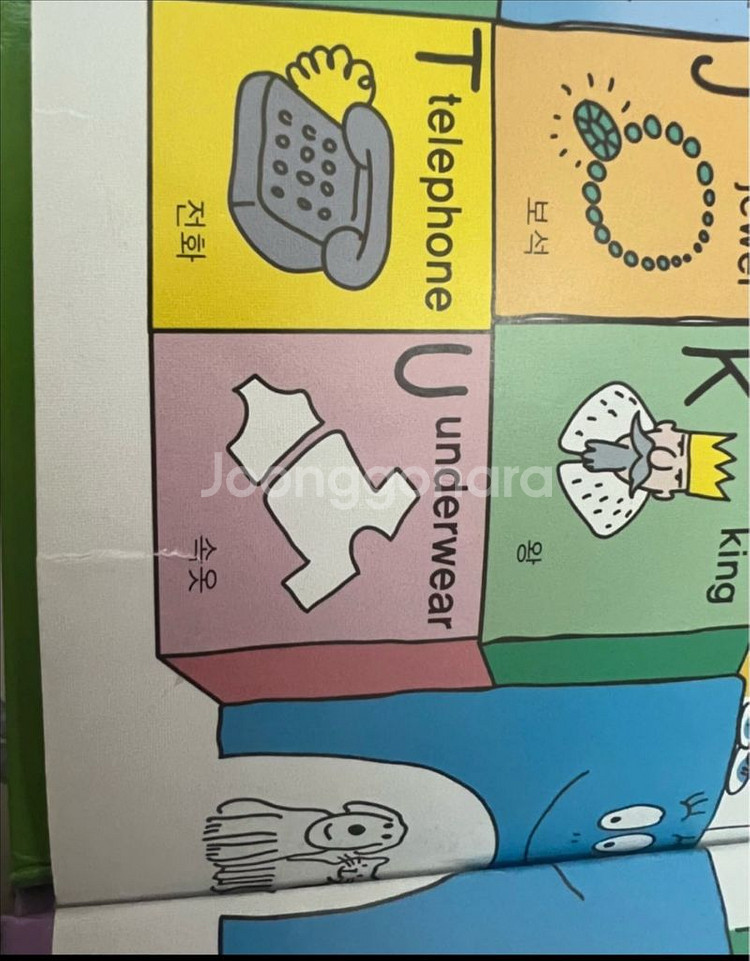 연두비 바바파파--1