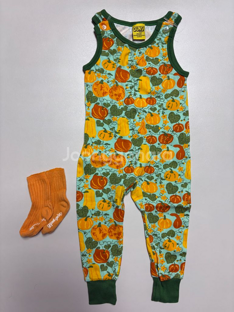 던스 호박 덩가리 80사이즈--0