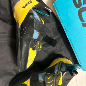 스카르파 베이퍼v 37사이즈