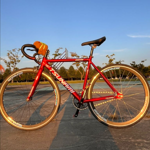 쓰나미 레드와인 SNM100 레드 픽시자전거