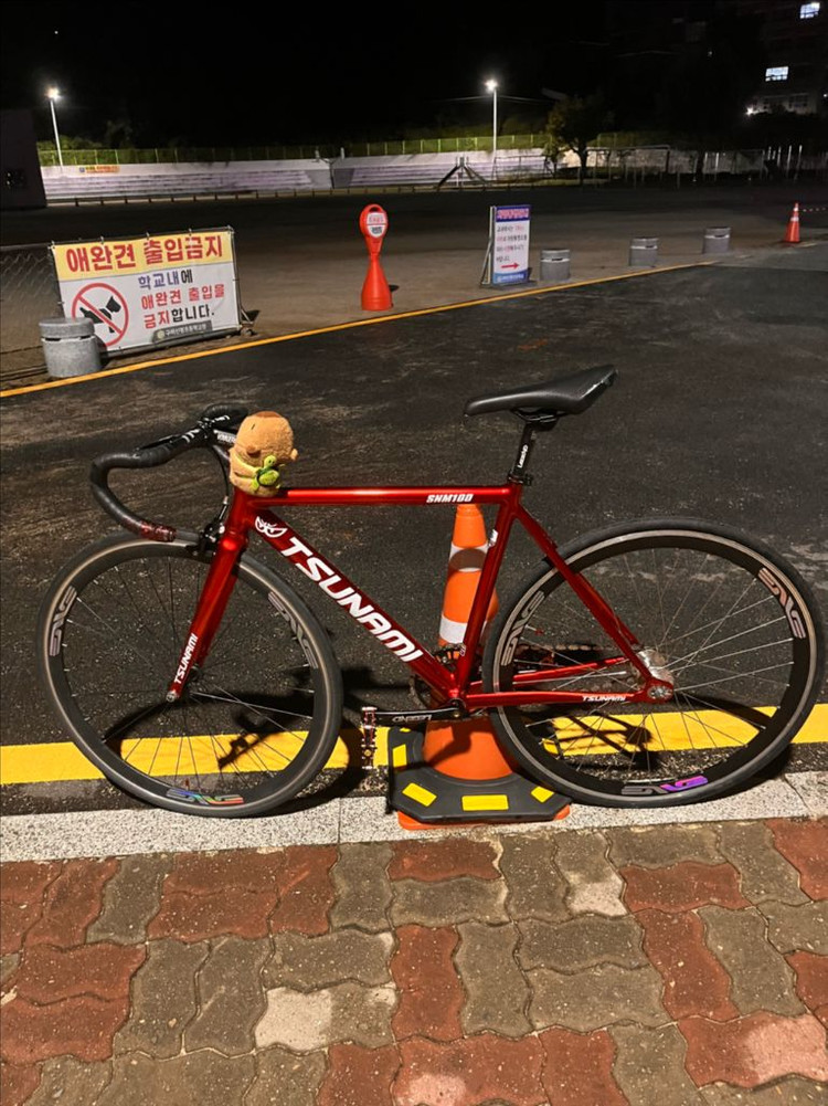 쓰나미 레드와인 SNM100 레드 픽시자전거--2